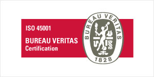 Acuerdos y Distinciones -Rangel - Certificación 45001