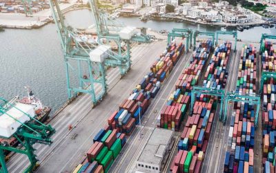Container Freight Station: o que é e qual a sua importância? 1