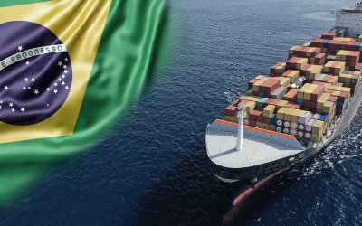 Exportar madeira do Brasil: quatro aspetos a ponderar